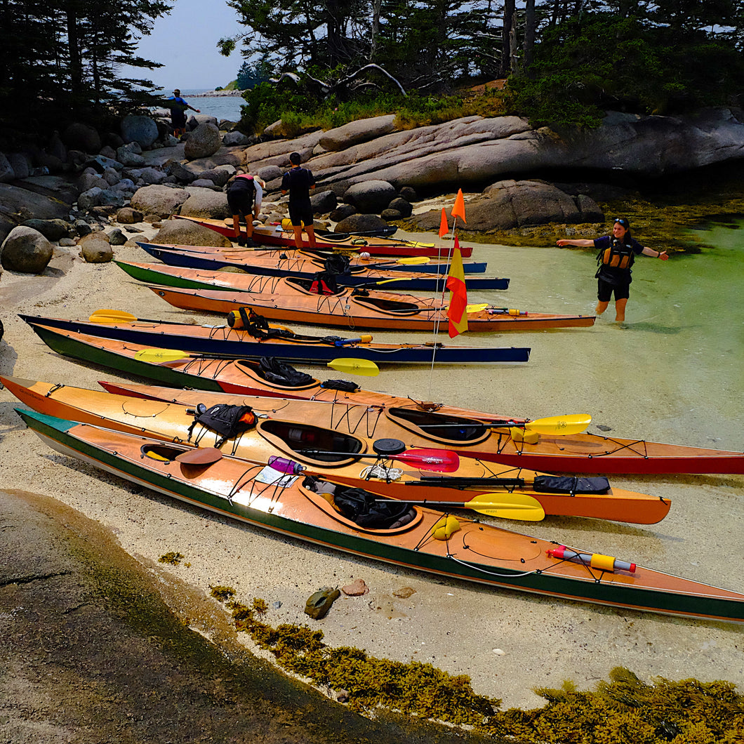Willow Sea Kayak - Complete Plywood Kayak Kit – Bill Thomas Maker